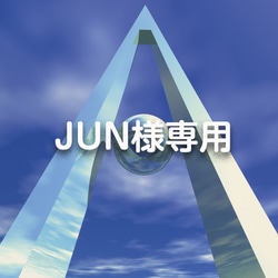 【JUN様専用】「レムリアンメッセージ」レムリアンシードクリスタルのペンダントトップ 1枚目の画像