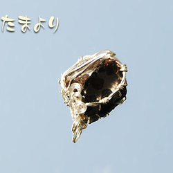 地球外鉱物！「宇宙からの贈り物」パラサイト隕石（セリコ）のペンダントトップ-01 9枚目の画像