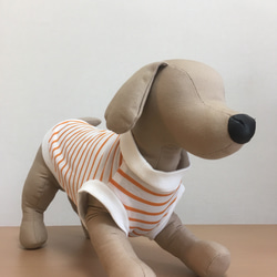 ひんやりクール 犬服 オレンジのボーダー 2枚目の画像