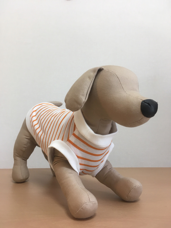 ひんやりクール 犬服 オレンジのボーダー 2枚目の画像