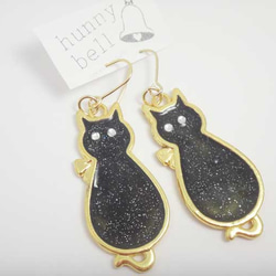 black cat pierce 2枚目の画像