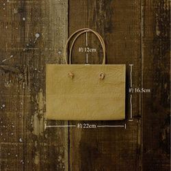 Mini Bag / Ivory**カルタレザー 10枚目の画像