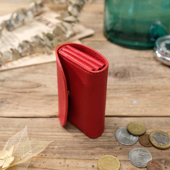 Tiny Wallet / A RED *小さい*ミニ 9枚目の画像
