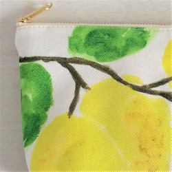 果園插角袋檸檬 第4張的照片