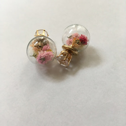 Open sale ガラスドーム♡ピアス 2枚目の画像