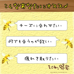 【国産非加熱はちみつ】クローバー160g 3枚目の画像