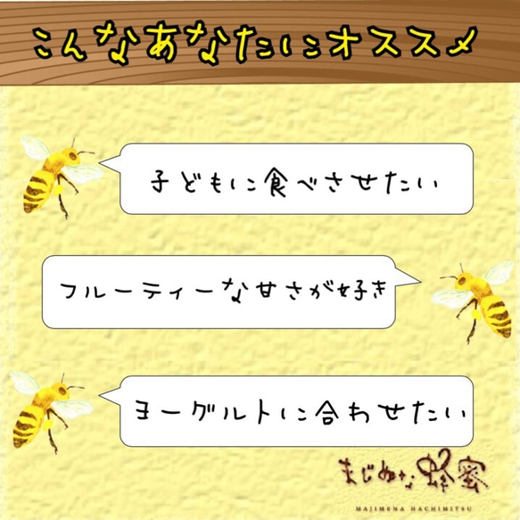 【国産非加熱はちみつ】りんご160g 3枚目の画像