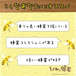 【国産非加熱はちみつ】熊野水木160g 3枚目の画像