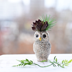 多色彩の装飾花瓶とフクロウのセット 多色彩の装飾花瓶とフクロウのセット 多色彩の装飾花瓶とフクロウ