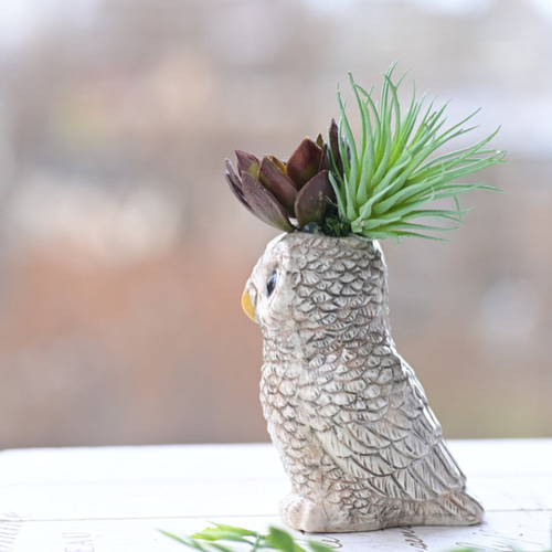 多肉とフクロウ君♪（R) 一輪挿し・花瓶・花器 Laurel 通販