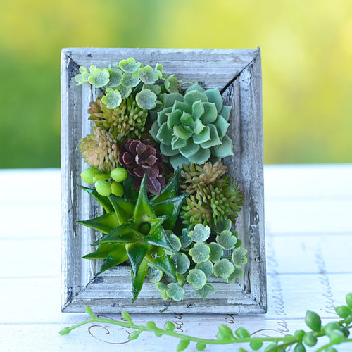 多肉植物フレーム寄せ植え（gray） アートフラワー Laurel 通販