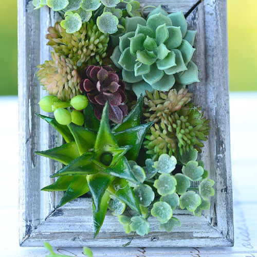 多肉植物フレーム寄せ植え（gray） アートフラワー Laurel 通販