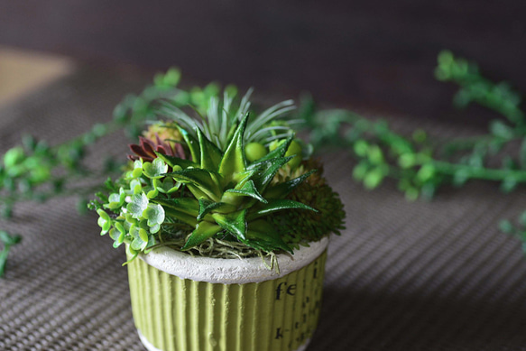 多肉寄せ植えテラコッタグリーン 4枚目の画像