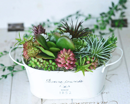 多肉植物寄せ植え（ホワイトブリキ缶） アートフラワー Laurel
