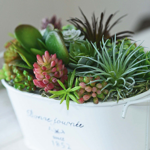 多肉植物寄せ植え（ホワイトブリキ缶） アートフラワー Laurel