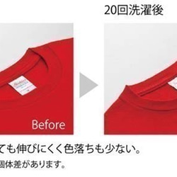 あんしんきれい◆アート文字◆ロゴ◆ヘビーウェイト◆半袖◆Tシャツ◆ミント◆各サイズ選択可 5枚目の画像