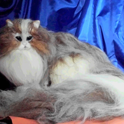 羊毛フェルト　リアル猫　チンチラ ミックス（Hー０４） 1枚目の画像