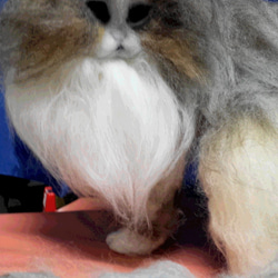 羊毛フェルト　リアル猫　チンチラ ミックス（Hー０４） 4枚目の画像