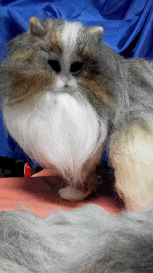 羊毛フェルト　リアル猫　チンチラ ミックス（Hー０４） 4枚目の画像