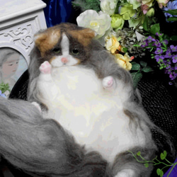 羊毛フェルト　リアル猫　チンチラ仔猫 ミックス 2枚目の画像
