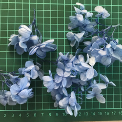 お買い得4g  紫陽花　ピラミッド　あじさい ブルー　花材 4枚目の画像