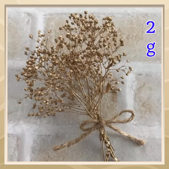 全色300円》 2g ソフトかすみ草 プリザーブドフラワー （ゴールド） 花
