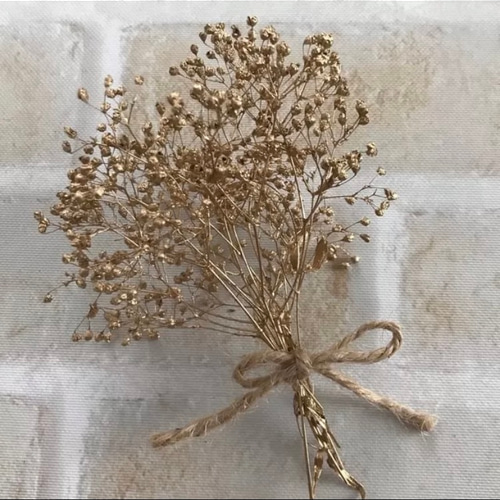 全色300円》 2g ソフトかすみ草 プリザーブドフラワー （ゴールド） 花