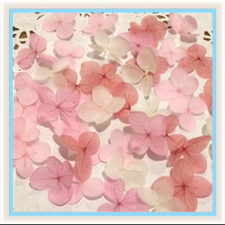 紫陽花 100枚 プリザーブドフラワー 花びら ピンク系【四色アソートE