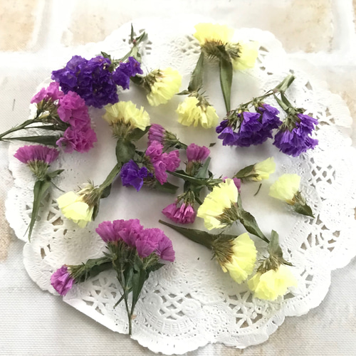スターチス ミックス 2g ドライフラワー 花材 その他素材 floral house 