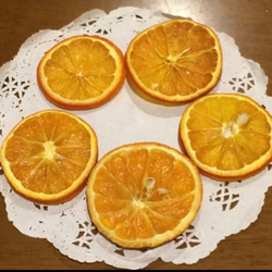 オレンジスライス 5枚 3枚目の画像
