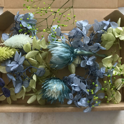 ②花材セット ハーバリウム 花材セット 【H2】 その他素材 floral house 凛