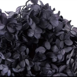 特価　紫陽花　ソフトピラミッド  アジサイ　グレイッシュパープル　プリザーブドフラワー　花材 1枚目の画像