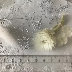 ハーバリウム花材  小分けセット ホワイト 【H12】 3枚目の画像