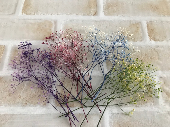 かすみ草 フラワーベール 4種類セット　花材 2枚目の画像