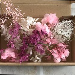 サマーチェリー ハーバリウム花材 バラエティBOX ピンク 1枚目の画像