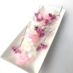 サマーチェリー ハーバリウム花材 バラエティBOX ピンク 2枚目の画像