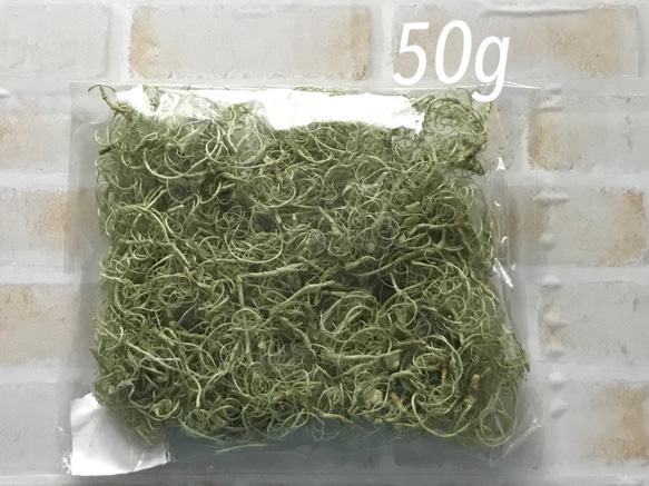 カーリーモス  グリーン   1袋　50g 1枚目の画像