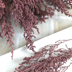 ソフトストーベ　プリザーブドフラワー　ウォッシュピンク　ストーベ　花材 2枚目の画像