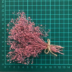 2g ソフトミニかすみ草　カシス 　プリザーブドフラワー　カスミソウ　花材 4枚目の画像