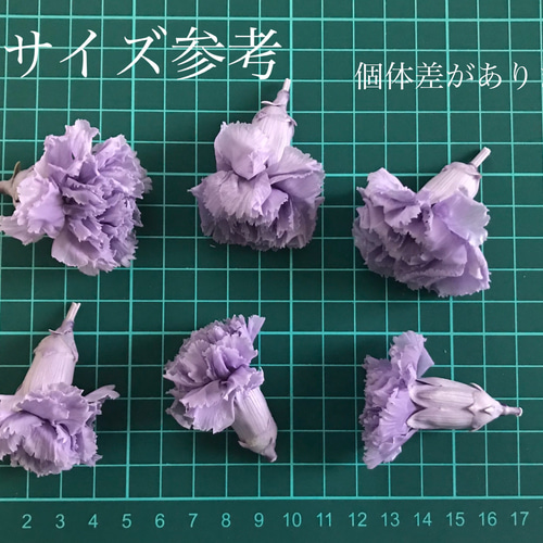 プリザーブドフラワー 花材(No.21)　カーネーション　14個 大地農園・千日紅・プリザーブド・ラベンダー | プリザーブド