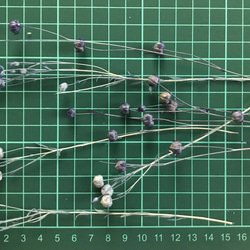 リンフラワー　ドライフラワー　淡いブルー系　25輪 4枚目の画像