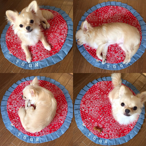 のぉー様✨御専用カフェマット
