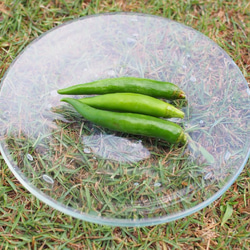 雨粒プレート・クリア《琉球ガラス・食器・小皿》 1枚目の画像