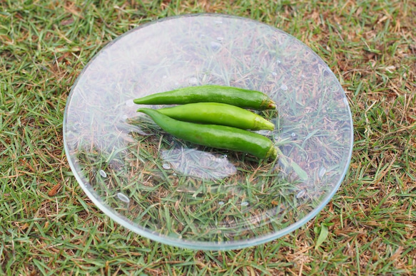 雨粒プレート・クリア《琉球ガラス・食器・小皿》 1枚目の画像