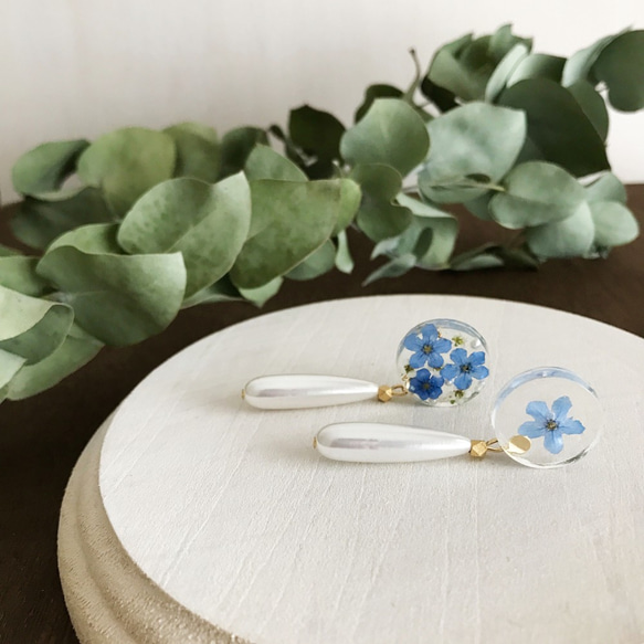 【ピアス or イヤリング】Blue Flower #002 2枚目の画像