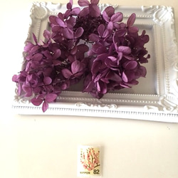 プリザーブド紫陽花 バイオレット 1枚目の画像