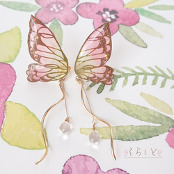 季節の蝶～春〜 ୨୧ ピアス イヤリング 1枚目の画像