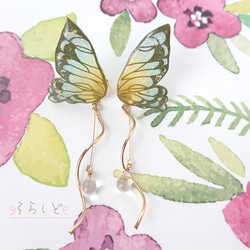 季節の蝶～夏〜 ୨୧ ピアス イヤリング 1枚目の画像