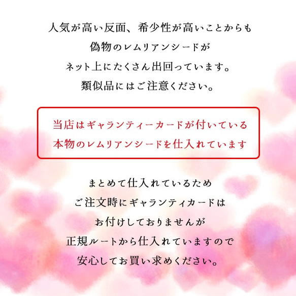 【本物保証】希少石！レムリアン水晶を手にする人とレムリアンシードの効果｜レムリアンシードクリスタル｜ブラジル カブラル産 6枚目の画像