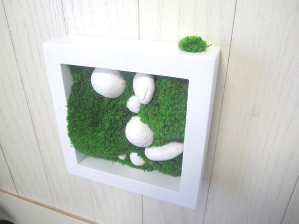 苔窓　お部屋の壁に苔庭　石膏球 2枚目の画像